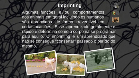 Curso sobre Neurociências UFF